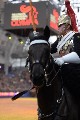 Cavalry - 00223